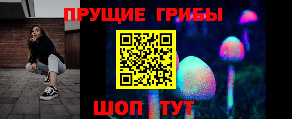 Жуковский  Псилоцибиновые грибы мухоморы  Вход с VPN  Галлюциногенные грибы Cubensis 